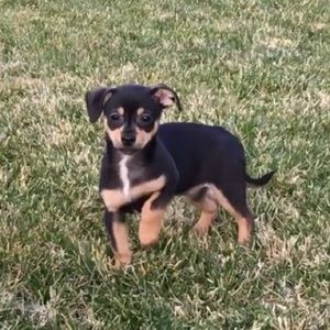 Meet your Posher, Kelley